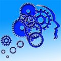 cerveau et prise de decisions