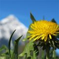 profiter du printemps