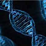 Modifier son code génétique par la pensée